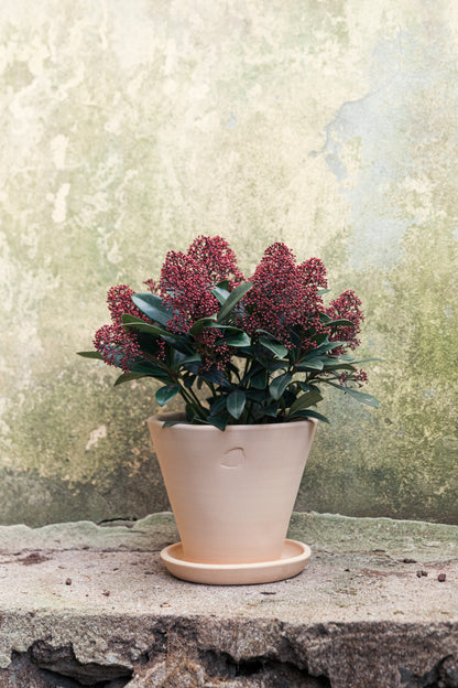 Sahara Flower Pot 22cm