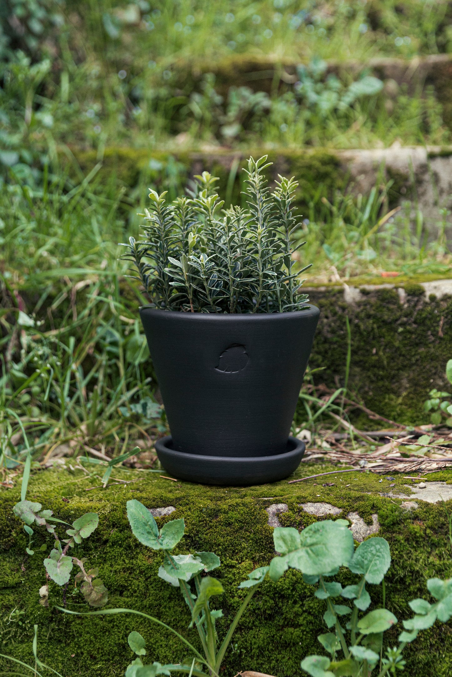 Coal Flower Pot 17cm